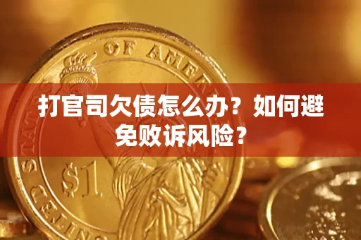 北京打官司欠债怎么办？如何避免败诉风险？