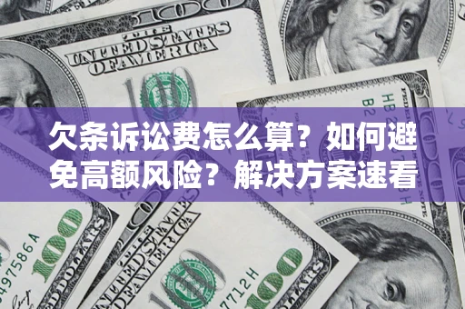 北京欠条诉讼费怎么算？如何避免高额风险？解决方案速看！