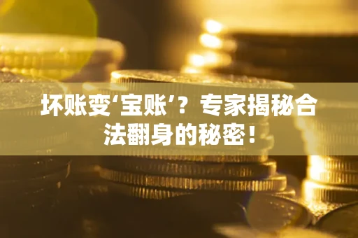 北京坏账变‘宝账’？专家揭秘合法翻身的秘密！